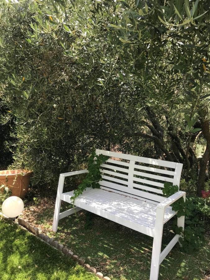 Chambre D Hotes Au Coeur Des Oliviers Marseille Ngoại thất bức ảnh