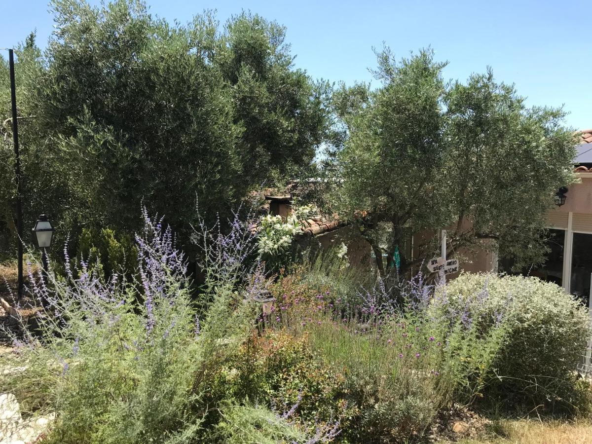 Chambre D Hotes Au Coeur Des Oliviers Marseille Ngoại thất bức ảnh